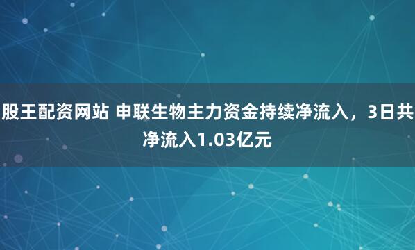 股王配资网站 申联生物主力资金持续净流入，3日共净流入1.03亿元