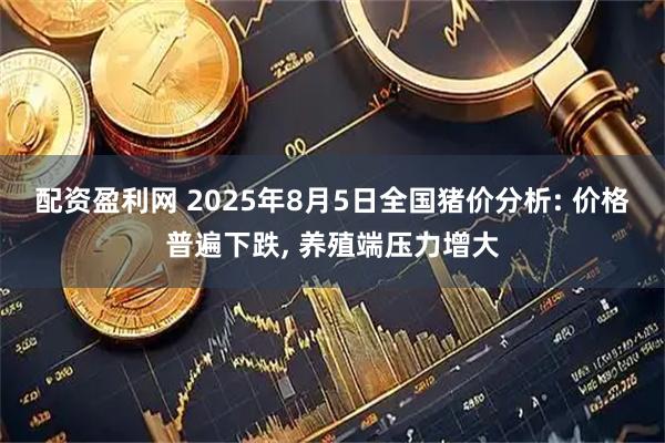 配资盈利网 2025年8月5日全国猪价分析: 价格普遍下跌, 养殖端压力增大