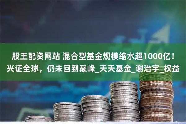 股王配资网站 混合型基金规模缩水超1000亿！兴证全球，仍未回到巅峰_天天基金_谢治宇_权益