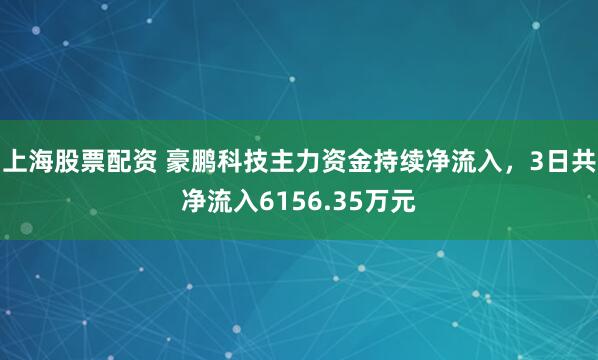 上海股票配资 豪鹏科技主力资金持续净流入，3日共净流入6156.35万元